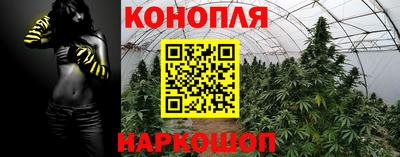 гидропоника Кунгур